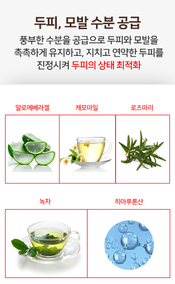 탑테라피 이미지
