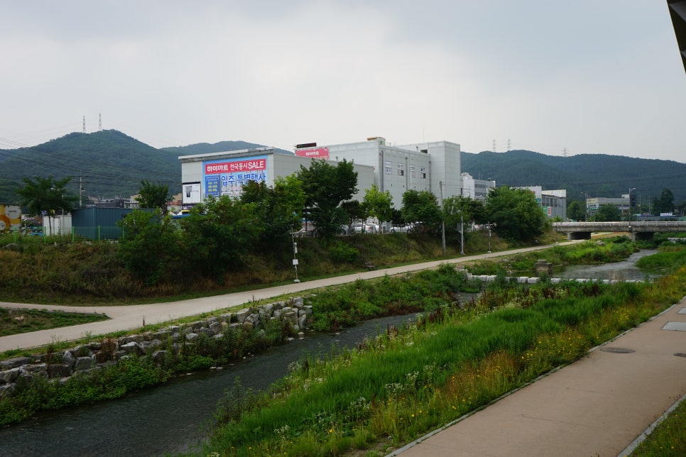디지털리치삼성디지털프라자 이미지