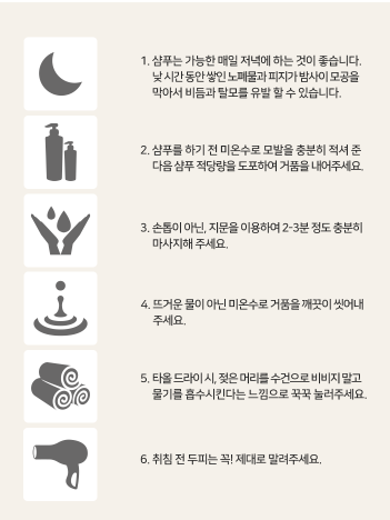 탑테라피 이미지