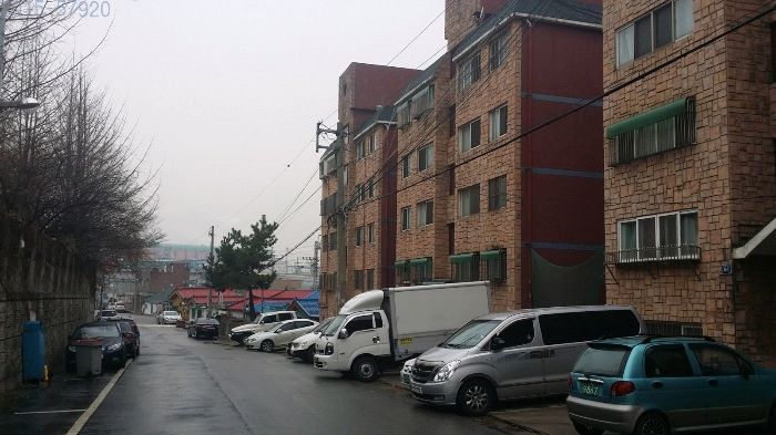 송월초등학교 이미지