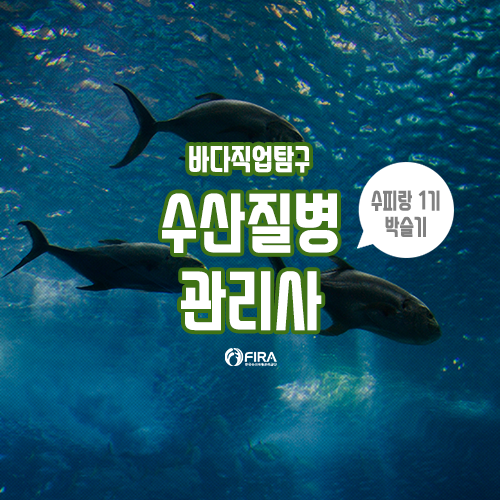 물고기수산 이미지