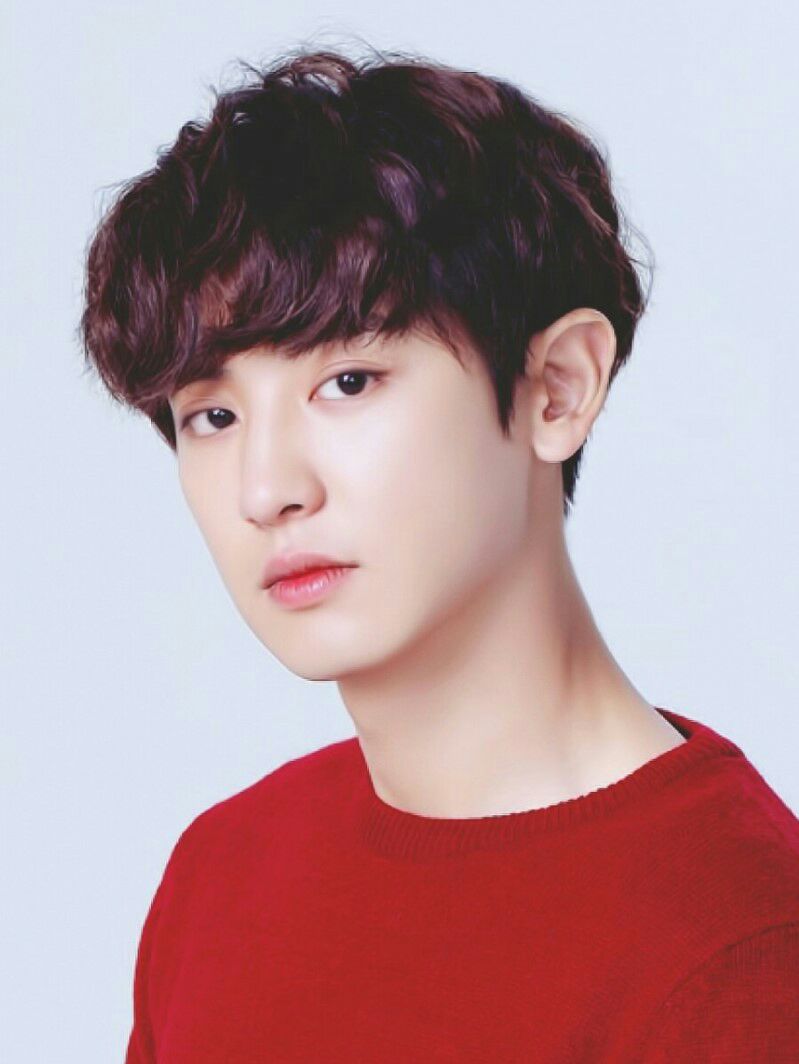 병아리날다 이미지