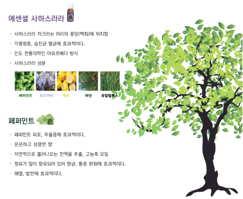 테라피피부관리실 이미지