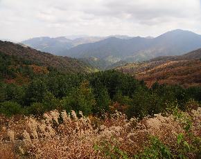 지리산뱀사골리움펜션 이미지