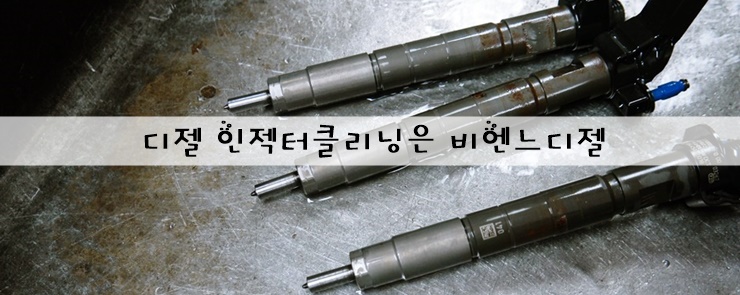 비엔느디젤 이미지