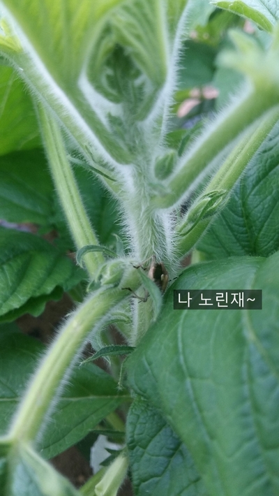 정훈농장 이미지