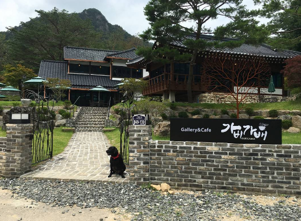 카페가비 이미지