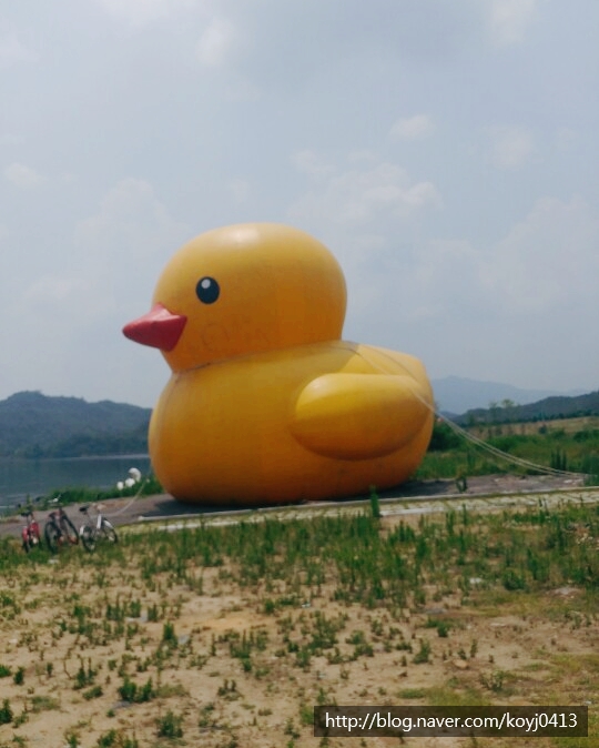 한국수상레저안전협회 이미지