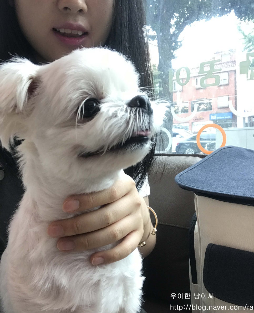 구구제제 이미지
