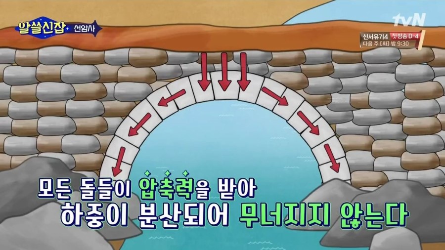 다이스큐브 이미지