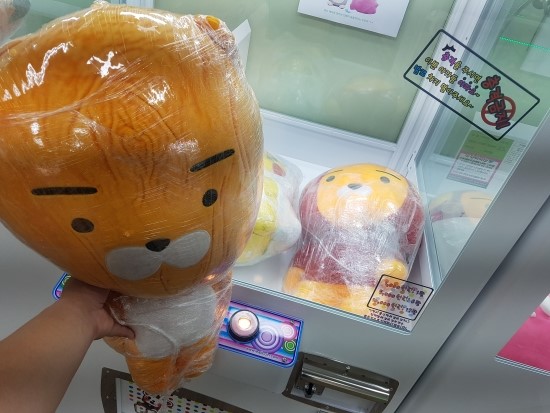 정왕뽑기방 이미지