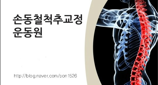 바른몸교정운동원 이미지