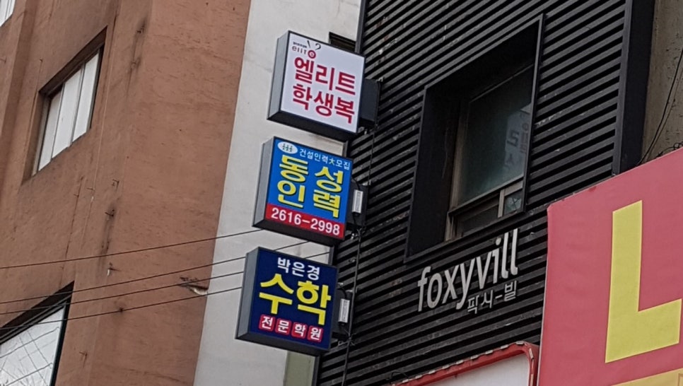 동성인력 이미지
