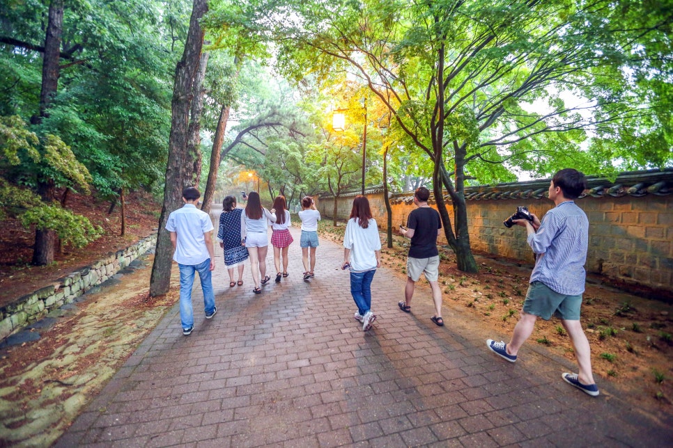 사비투어 이미지