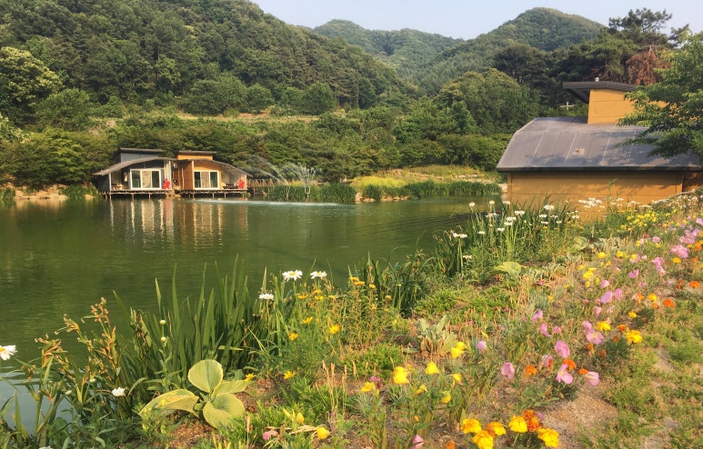 개나리낚시터 이미지