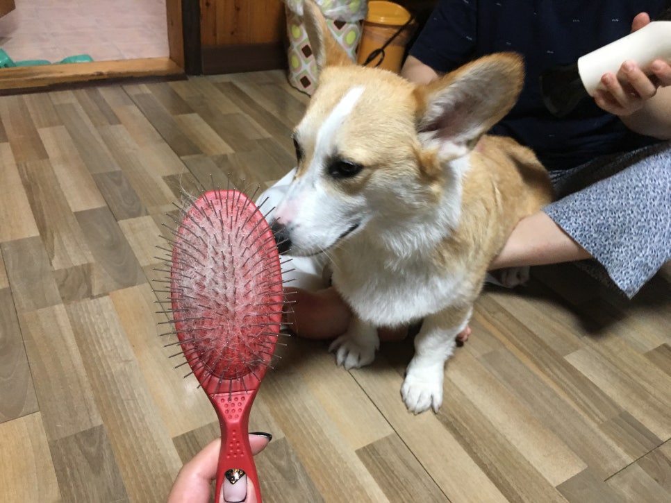 모카펜션 이미지