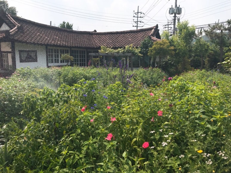 힐카페 이미지