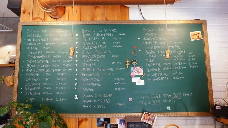 브라운칩 이미지