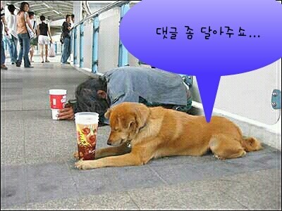 공감 이미지
