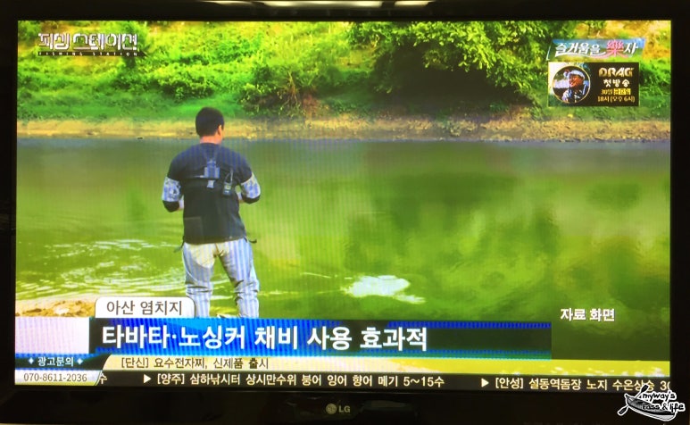 탑낚시카페 이미지