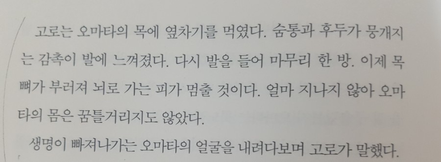 이스케 이미지