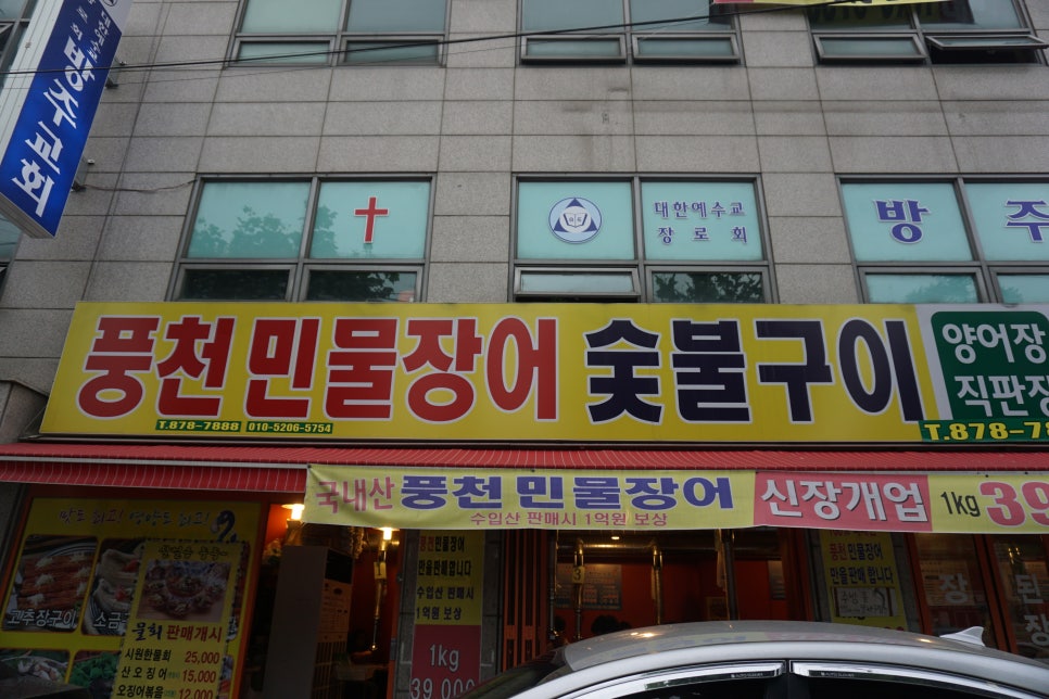 주 세계장어 이미지