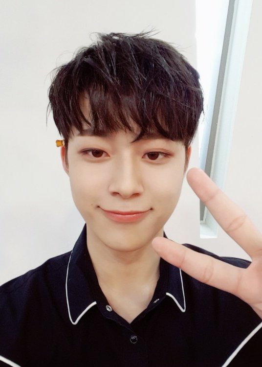 병아리날다 이미지