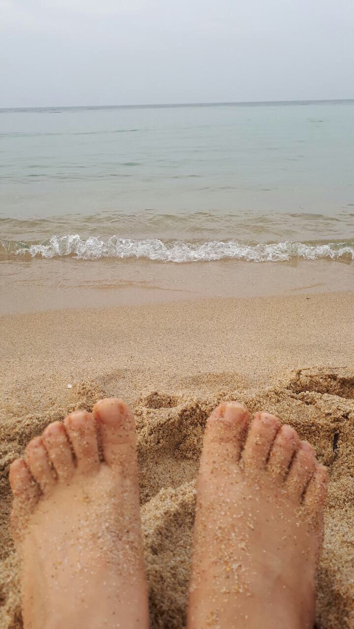포시즌비치호텔 이미지