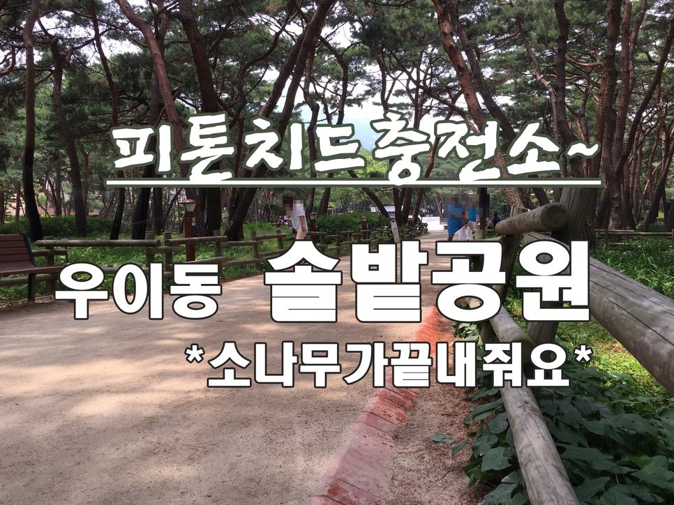 솔밭충전소 이미지