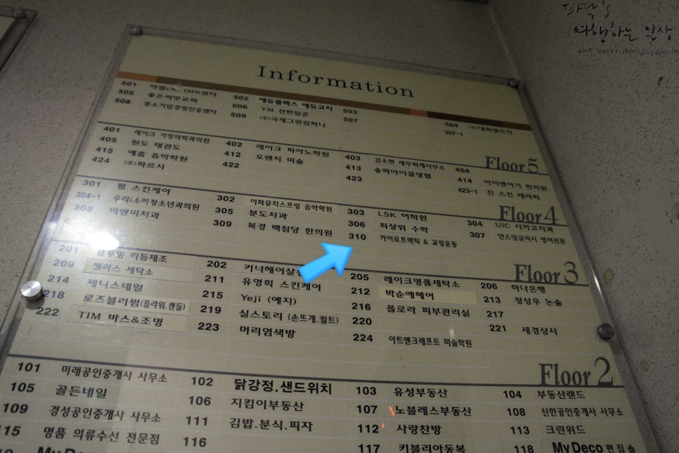 카이로바른척추교정 이미지