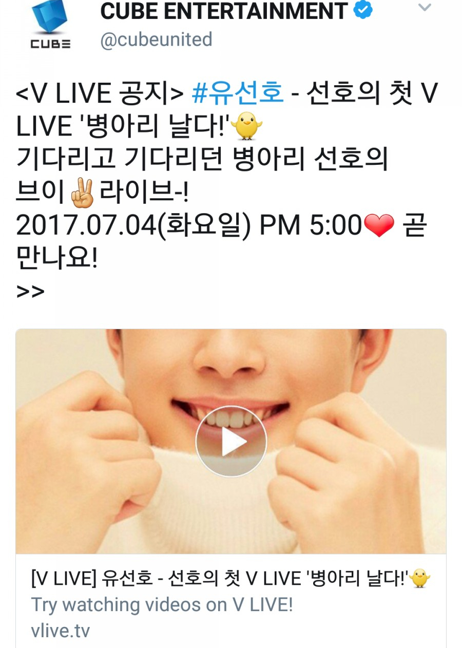 병아리날다 이미지
