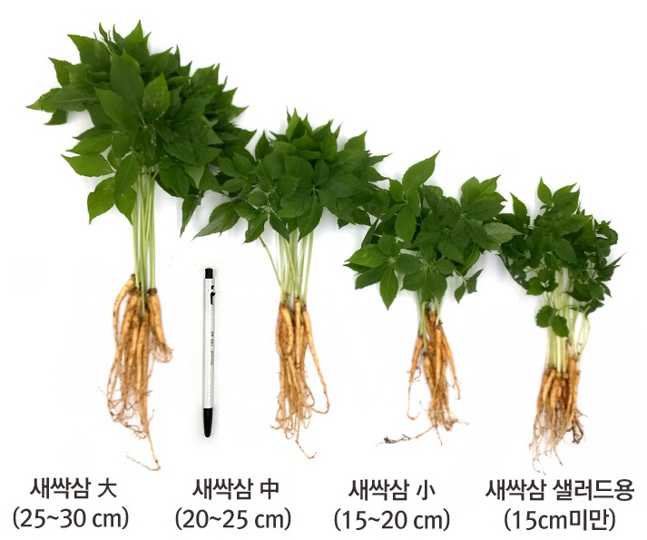 윤희네농장 이미지