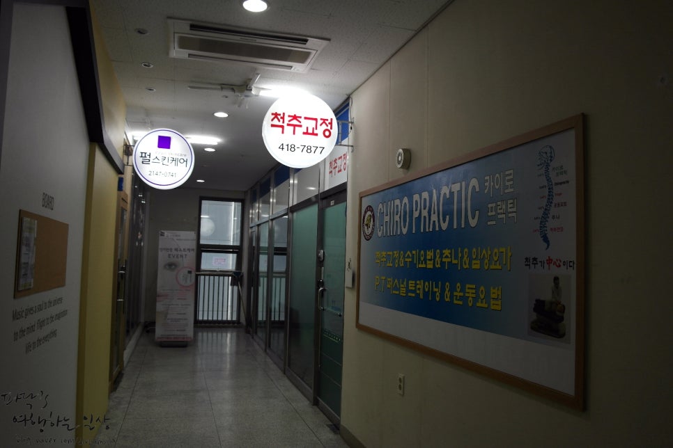 카이로바른척추교정 이미지