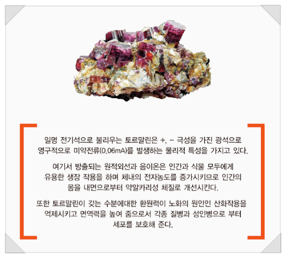 미애향연 이미지
