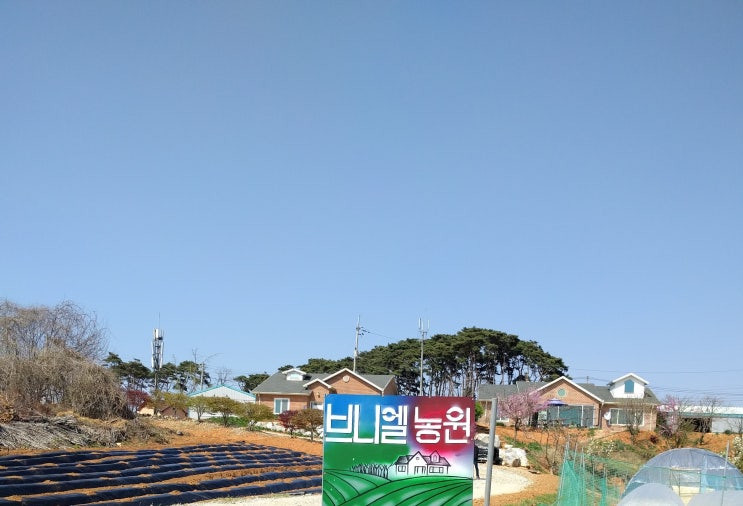 브니엘농원 이미지