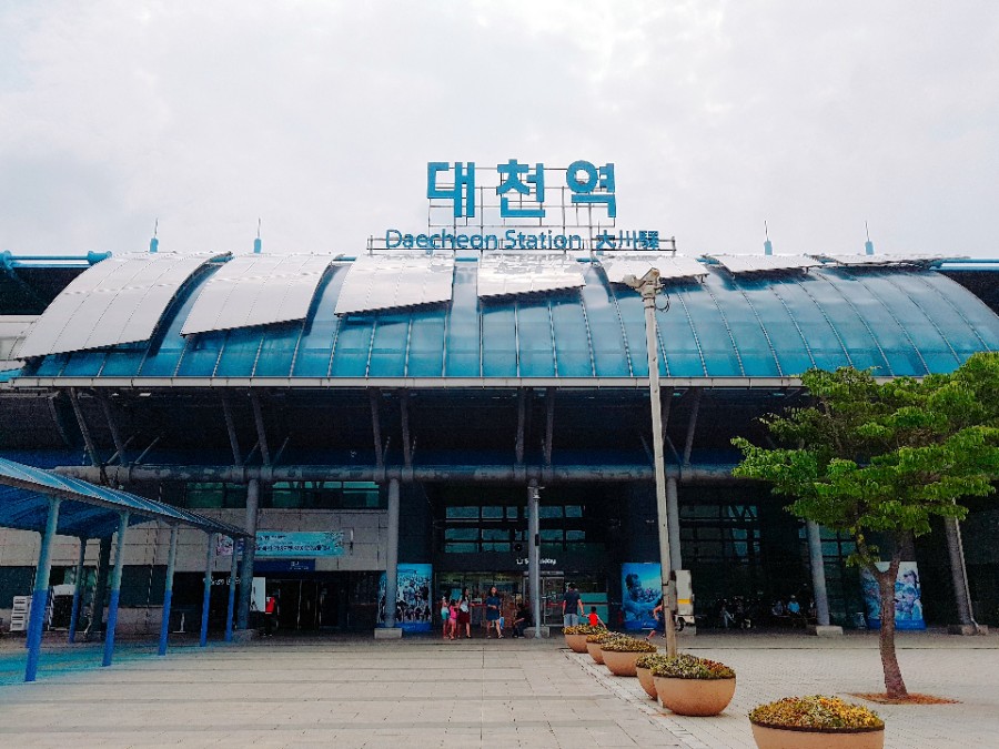 대천치킨 이미지