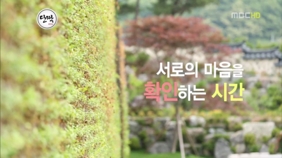 단궁 이미지