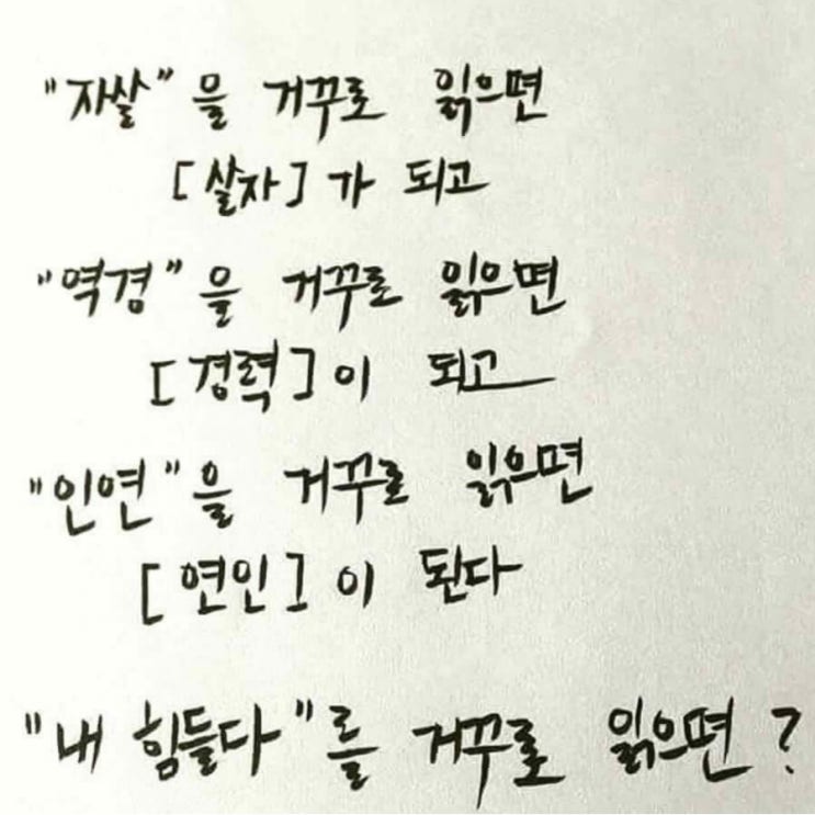 고기제 이미지