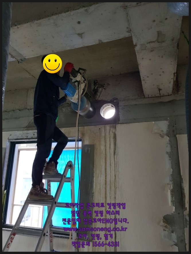 삼손ENG 이미지
