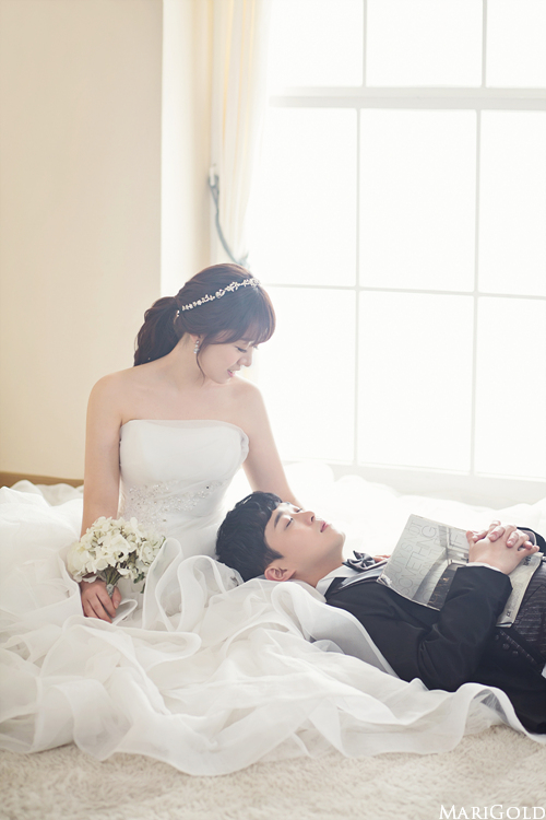 코코세미 이미지