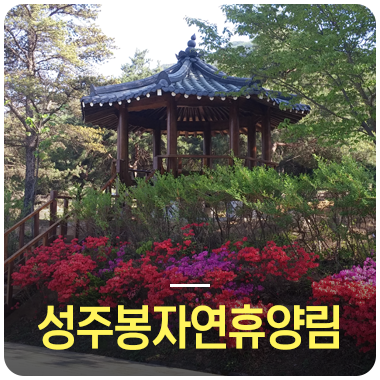 성주봉자연휴양림 이미지