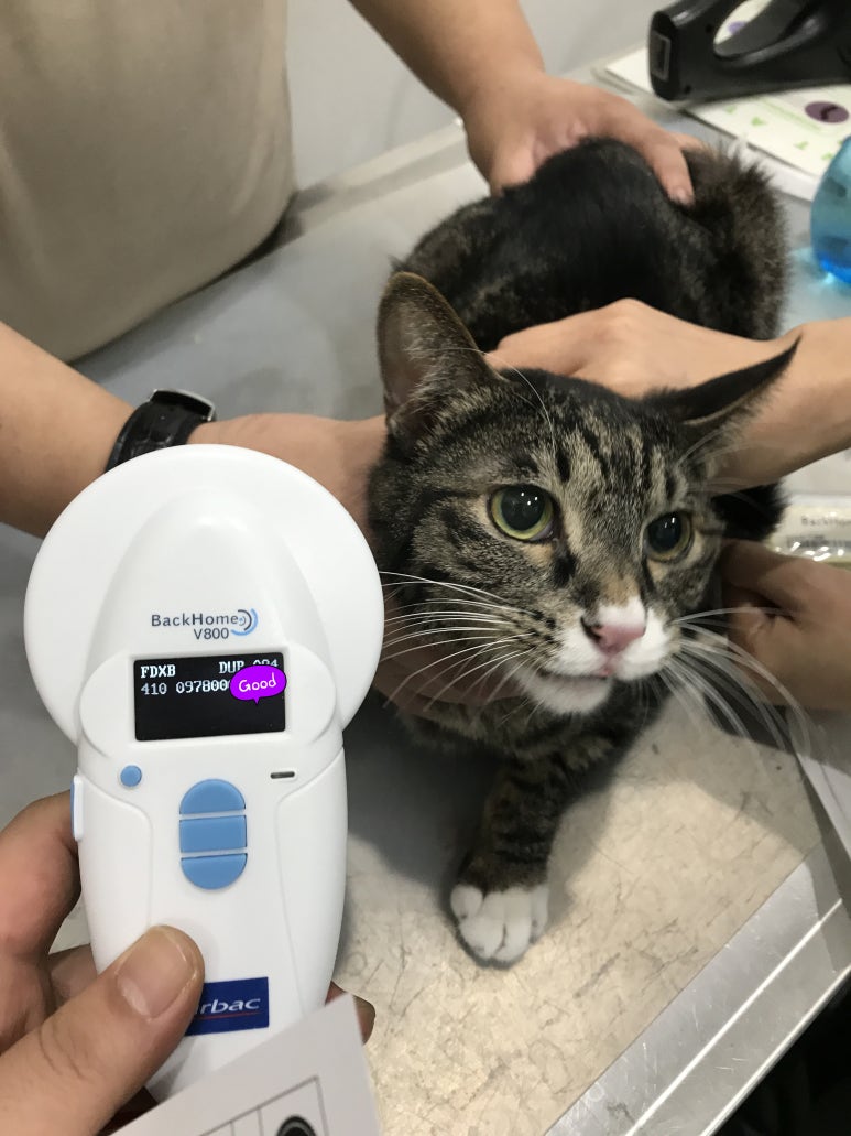레오나오 이미지