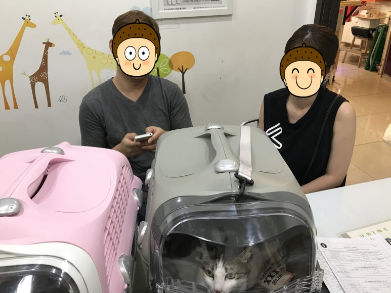 레오나오 이미지