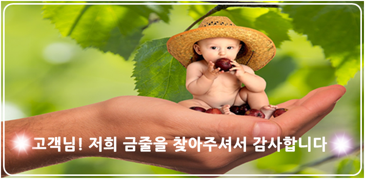 금줄베이비시터코리아 이미지