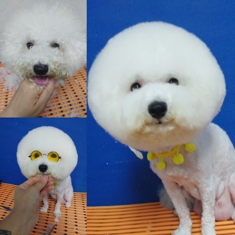 빵카 이미지