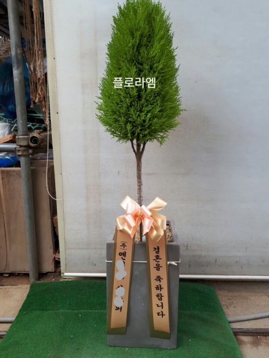 프라임꽃집 이미지