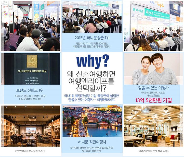 허니문결혼정보 이미지