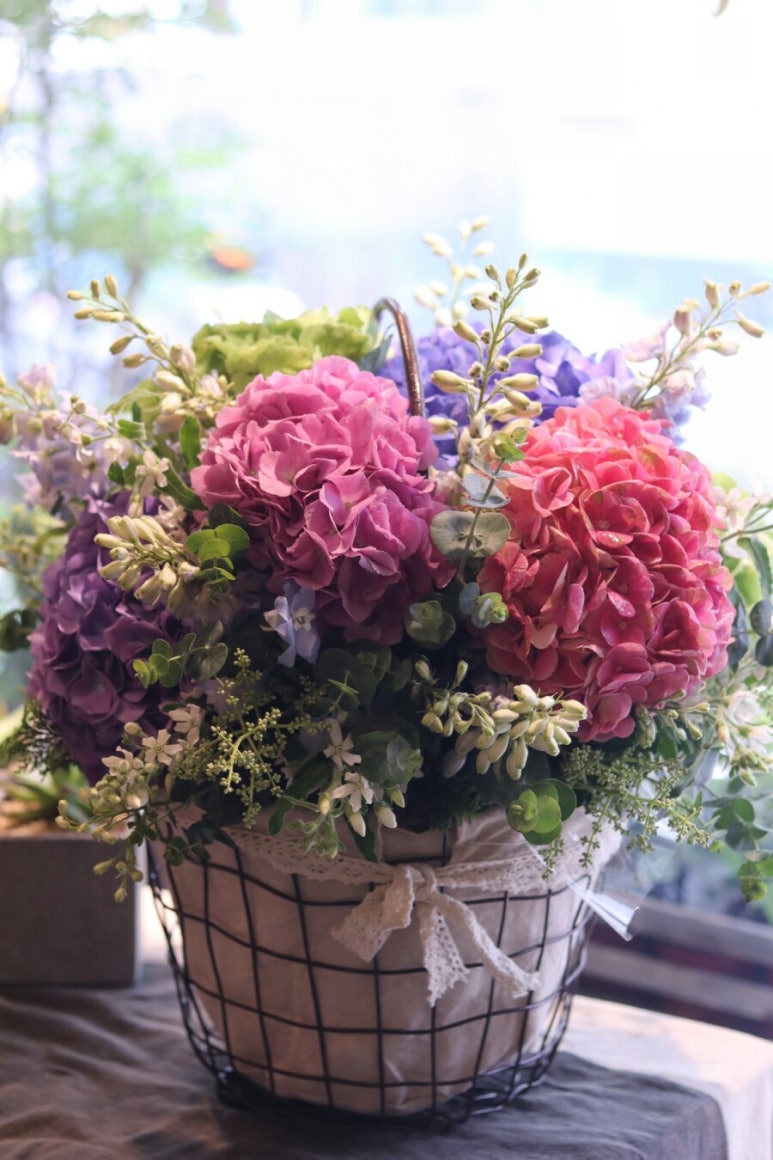 Flower늘봄 이미지