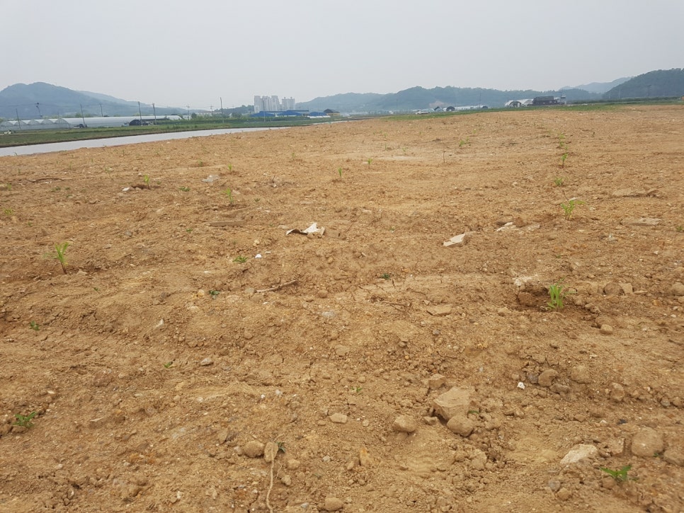 농업회사법인 신성(주) 이미지