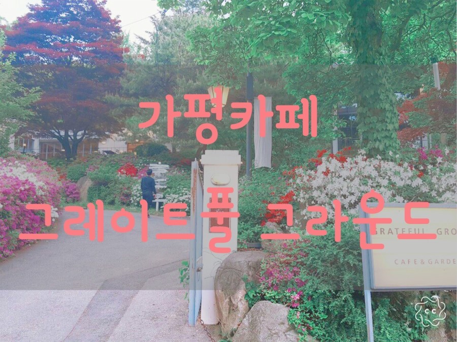 그레이트풀그라운드 이미지